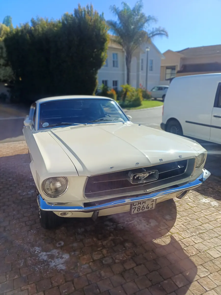 Classic Ford Mustang fastback restored shine